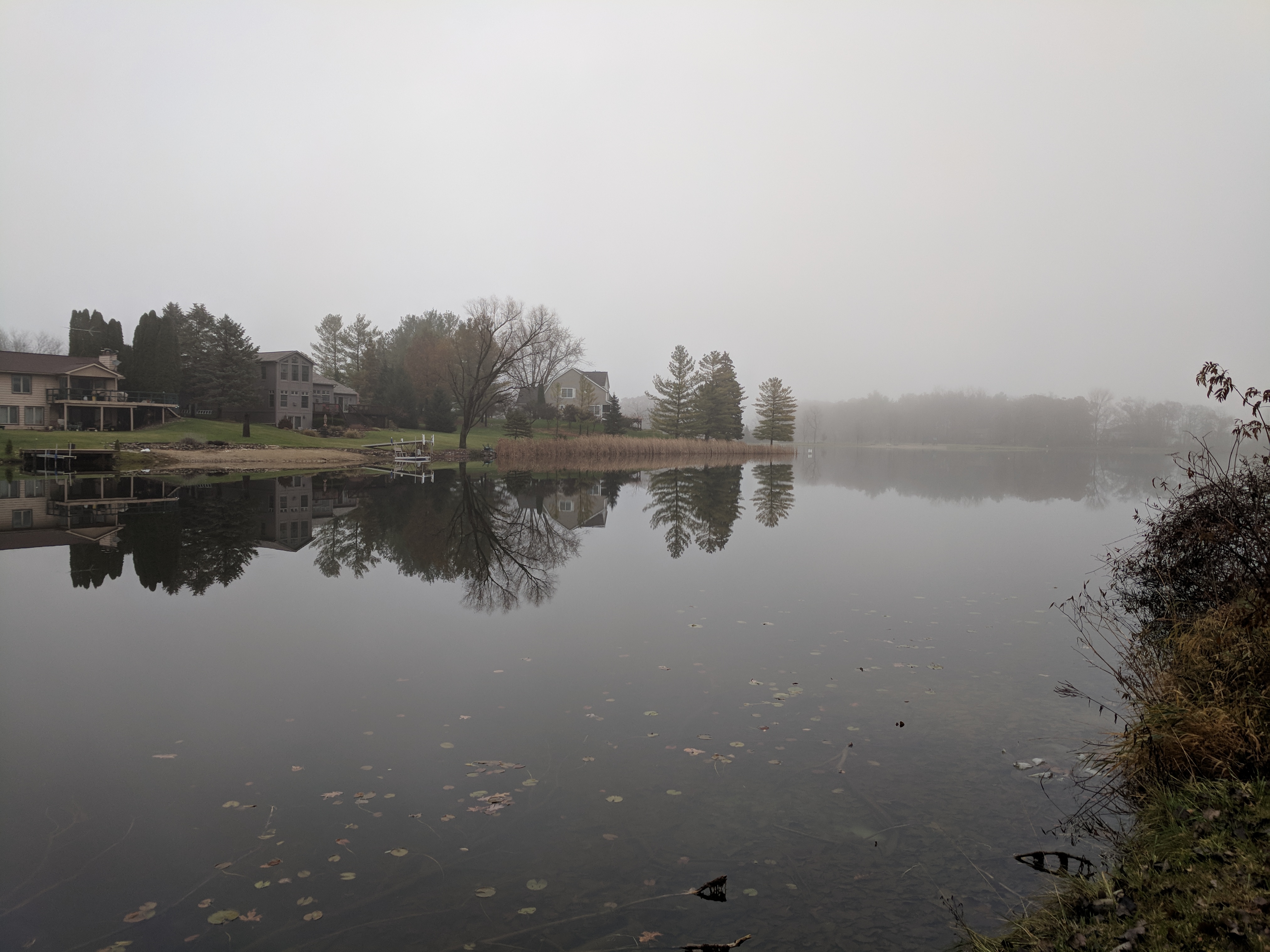 Foggy Lake